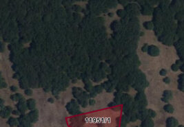 Eskişehir Uludere Mahallesinde Uygun Fiyatlı Satılık Tarlalar Takas Olur